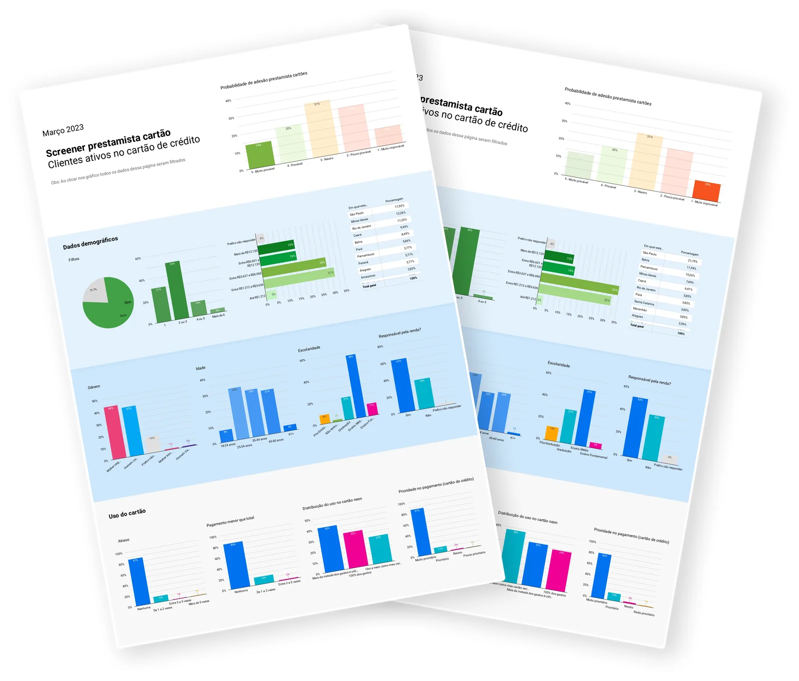 Dashboard do survey com gráficos de propensão de adesão, dados demográficos e uso do cartão